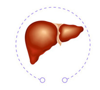 BIORESONANTIE BEHANDELING ONTGIFTEN